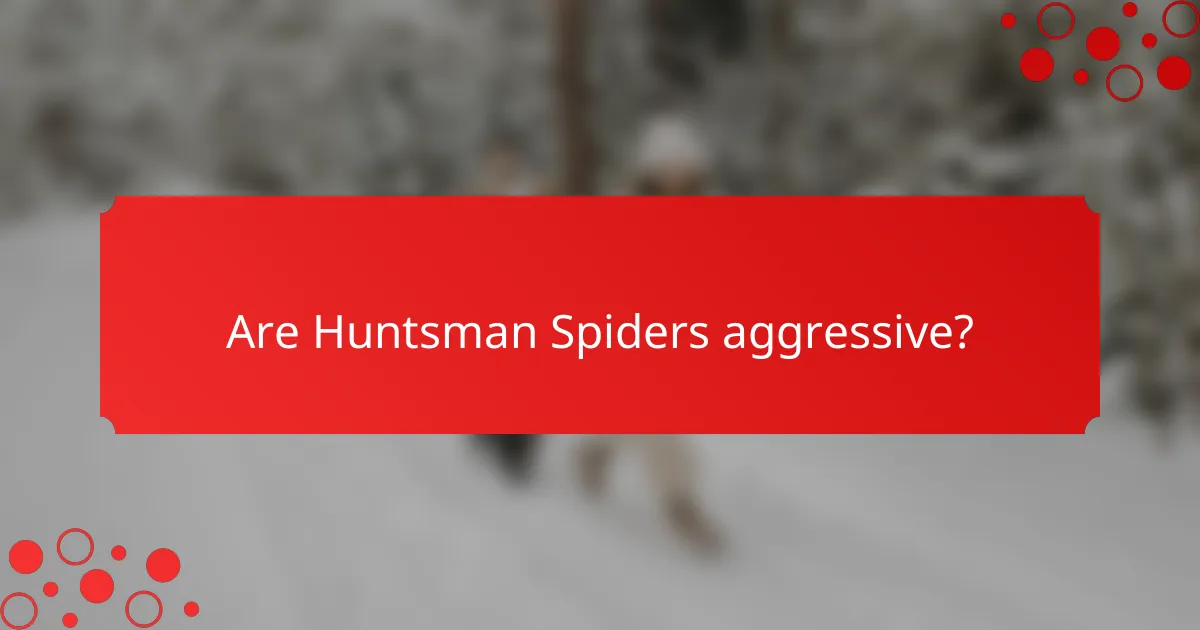 Are Huntsman Spiders aggressive?