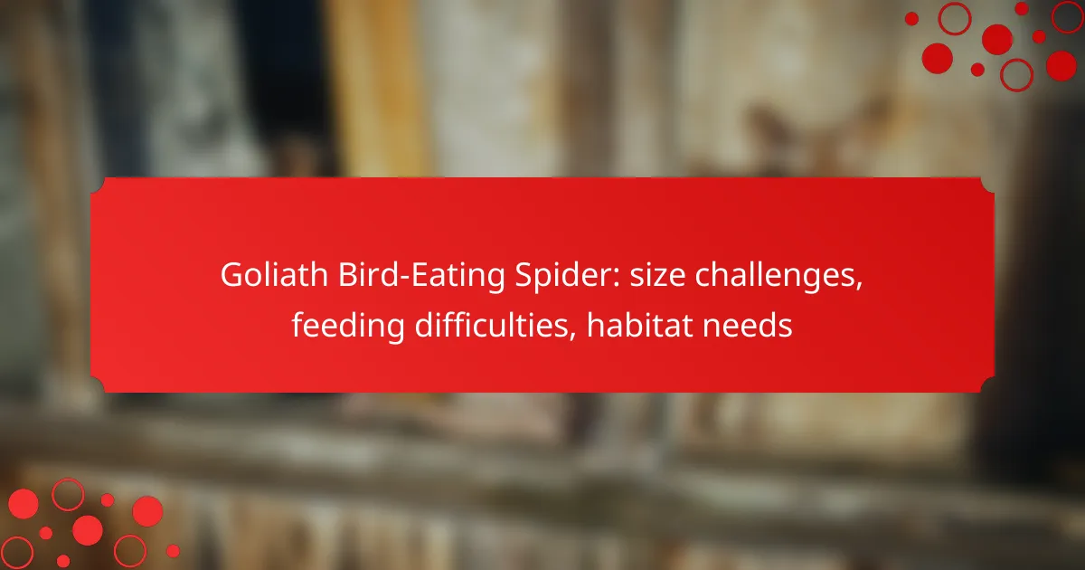 Goliath Bird-Eating Spider: size challenges, feeding difficulties, habitat needs