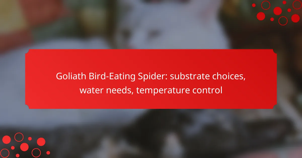 Goliath Bird-Eating Spider: substrate choices, water needs, temperature control