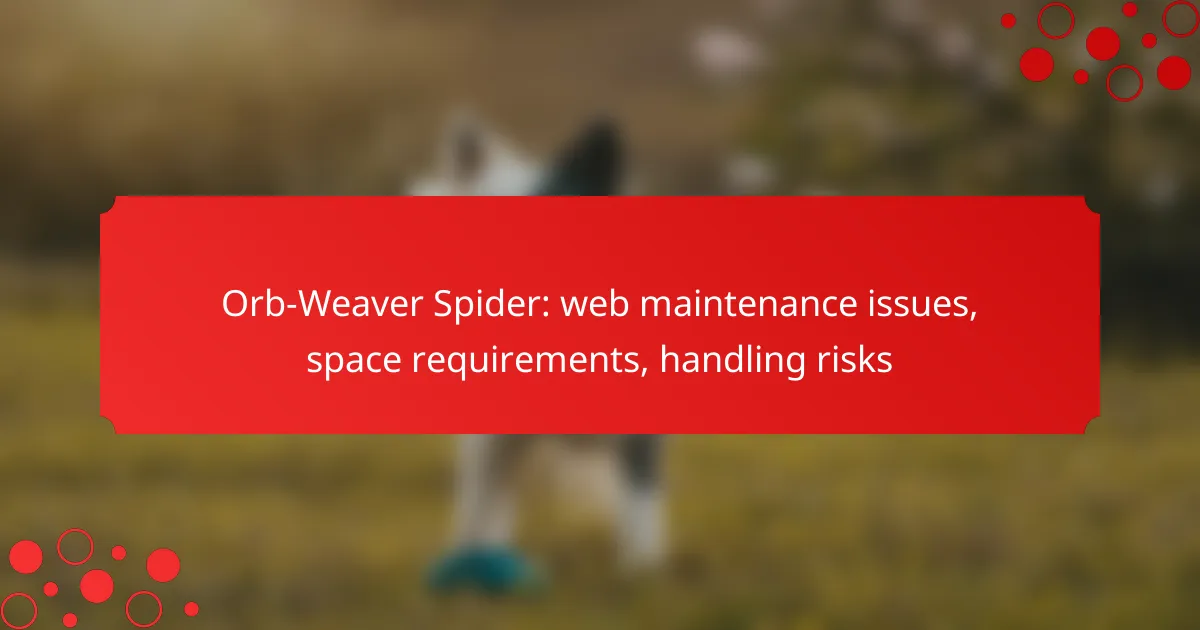 Orb-Weaver Spider: web maintenance issues, space requirements, handling risks