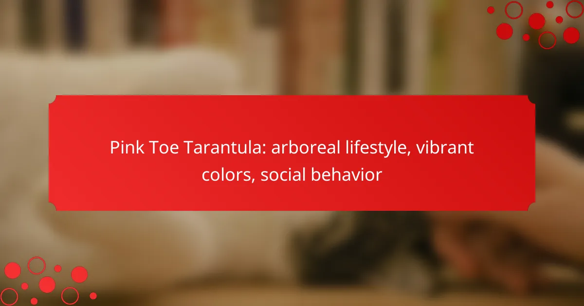 Pink Toe Tarantula: arboreal lifestyle, vibrant colors, social behavior