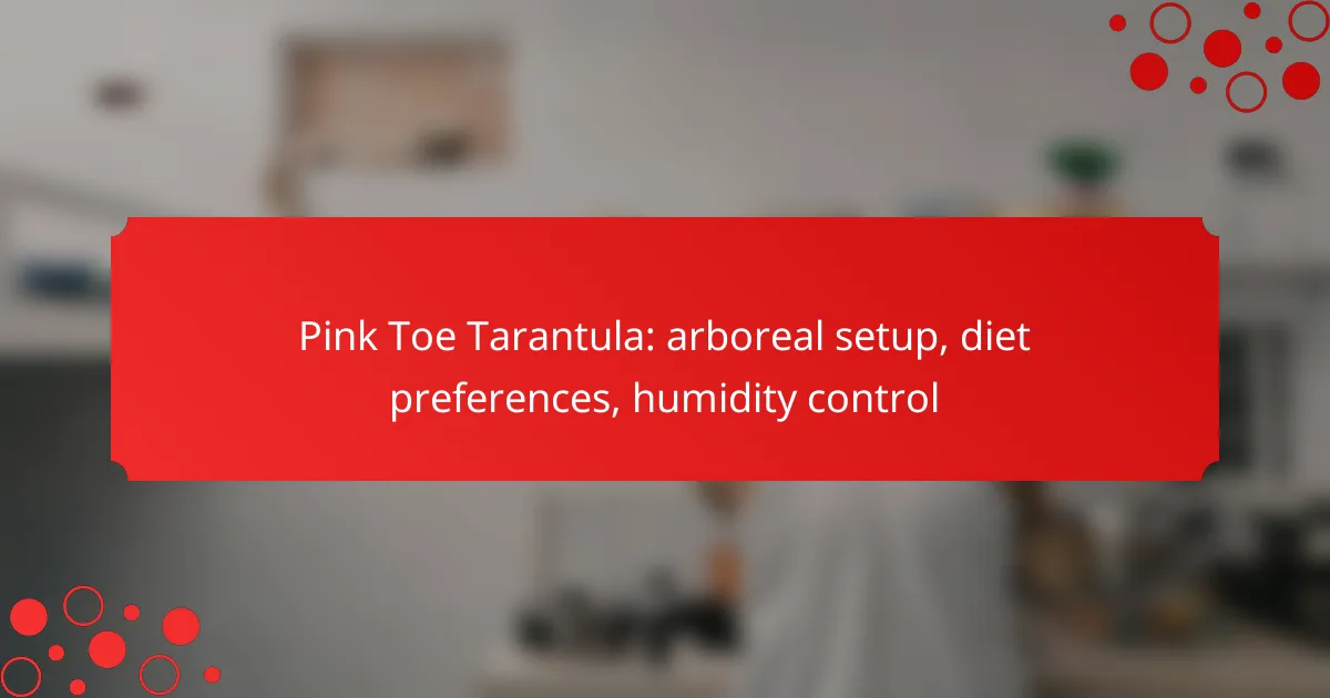 Pink Toe Tarantula: arboreal setup, diet preferences, humidity control