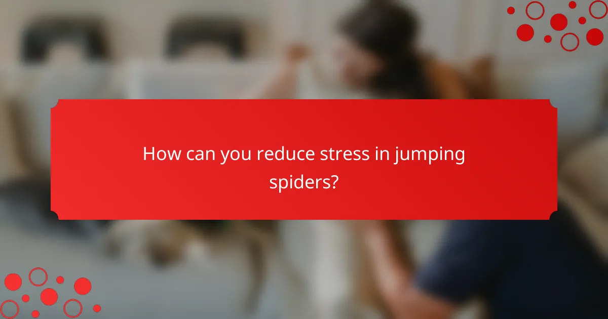 How can you reduce stress in jumping spiders?