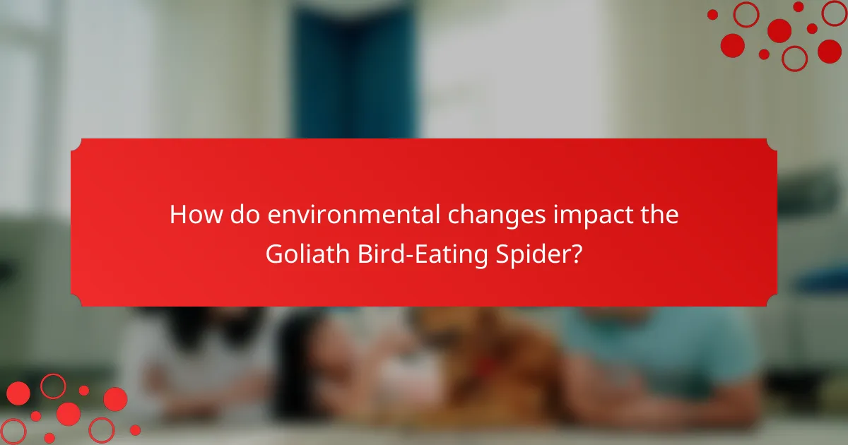How do environmental changes impact the Goliath Bird-Eating Spider?