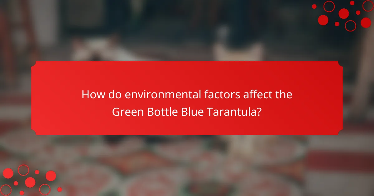 How do environmental factors affect the Green Bottle Blue Tarantula?