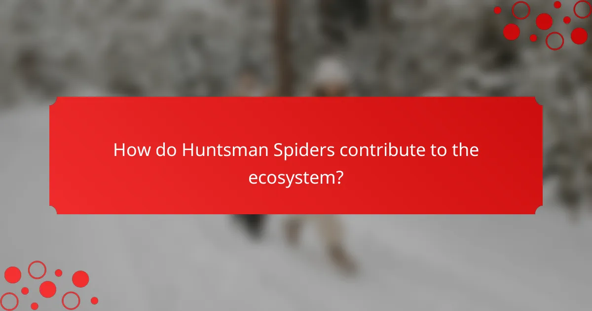 How do Huntsman Spiders contribute to the ecosystem?