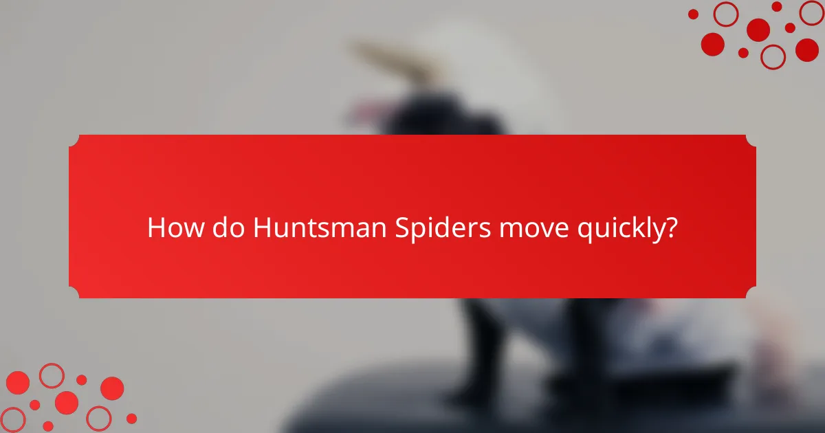 How do Huntsman Spiders move quickly?