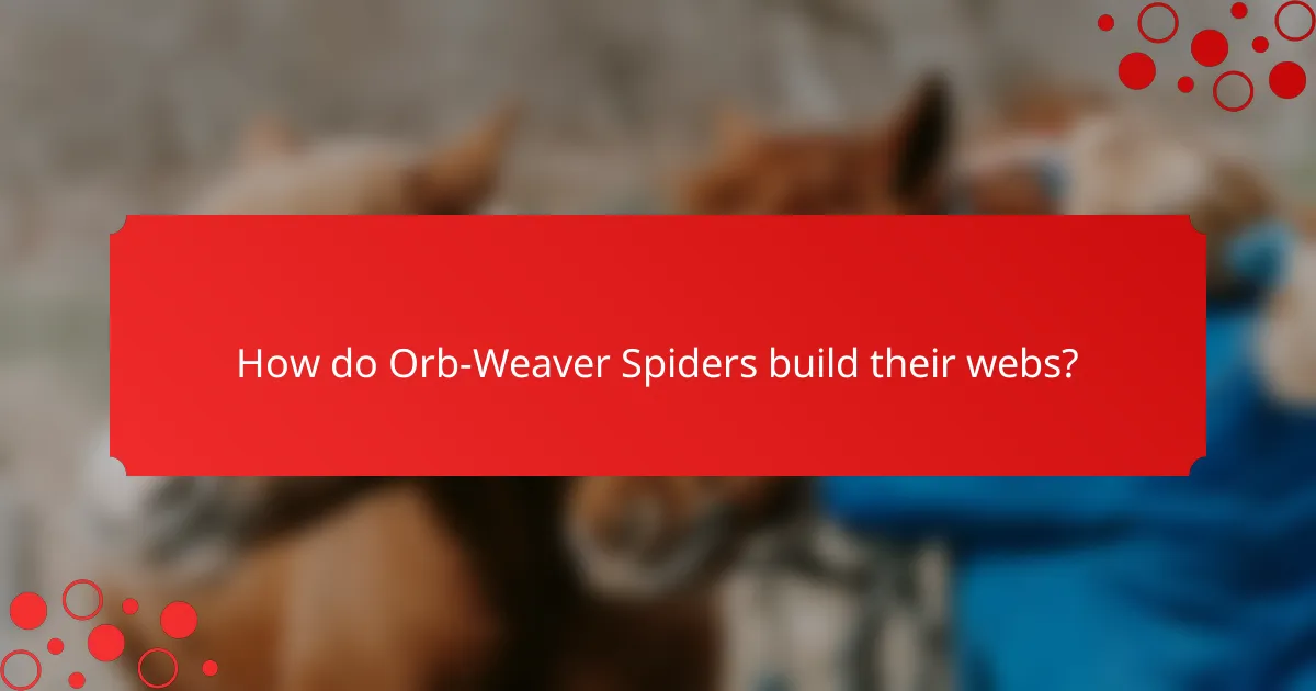 How do Orb-Weaver Spiders build their webs?