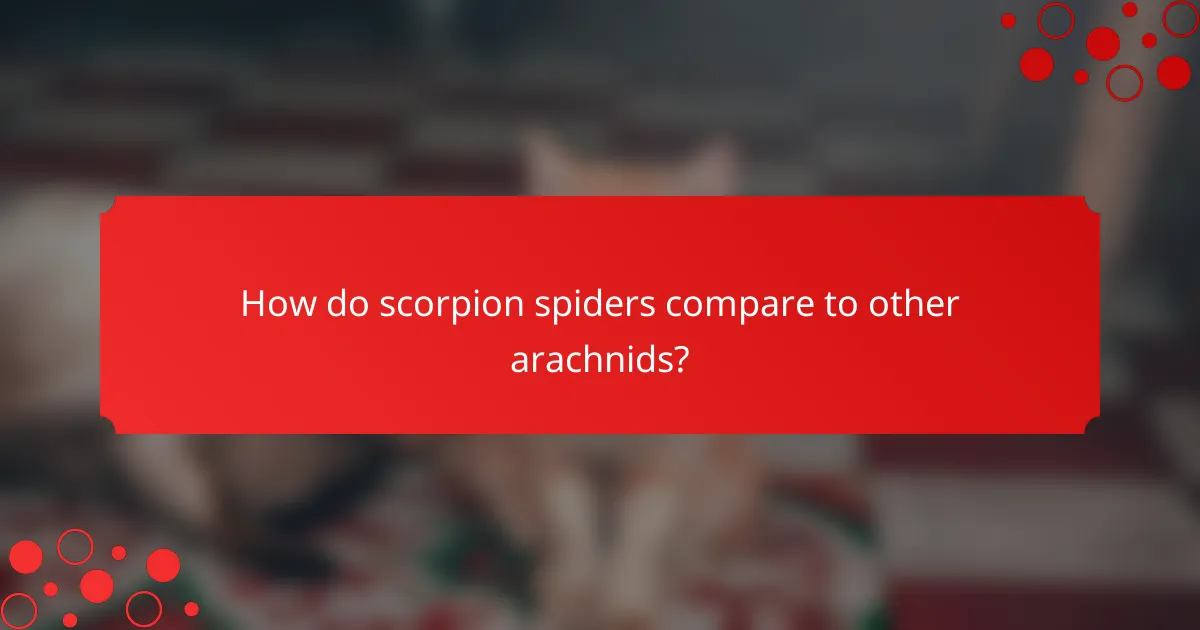 How do scorpion spiders compare to other arachnids?