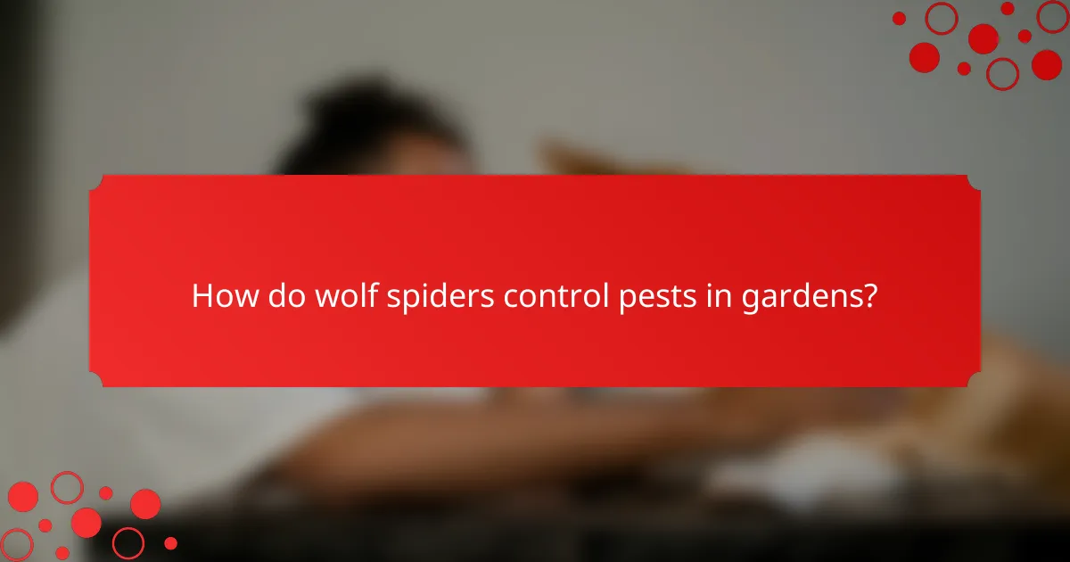 How do wolf spiders control pests in gardens?