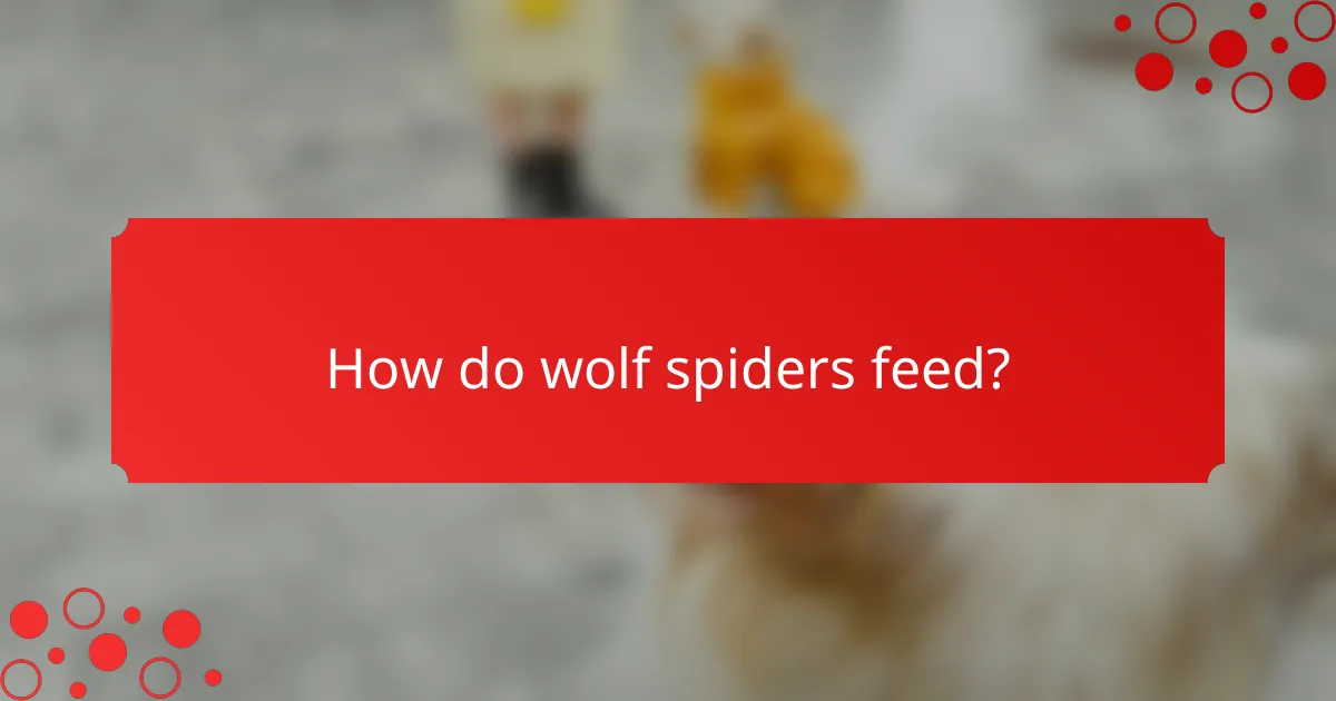 How do wolf spiders feed?
