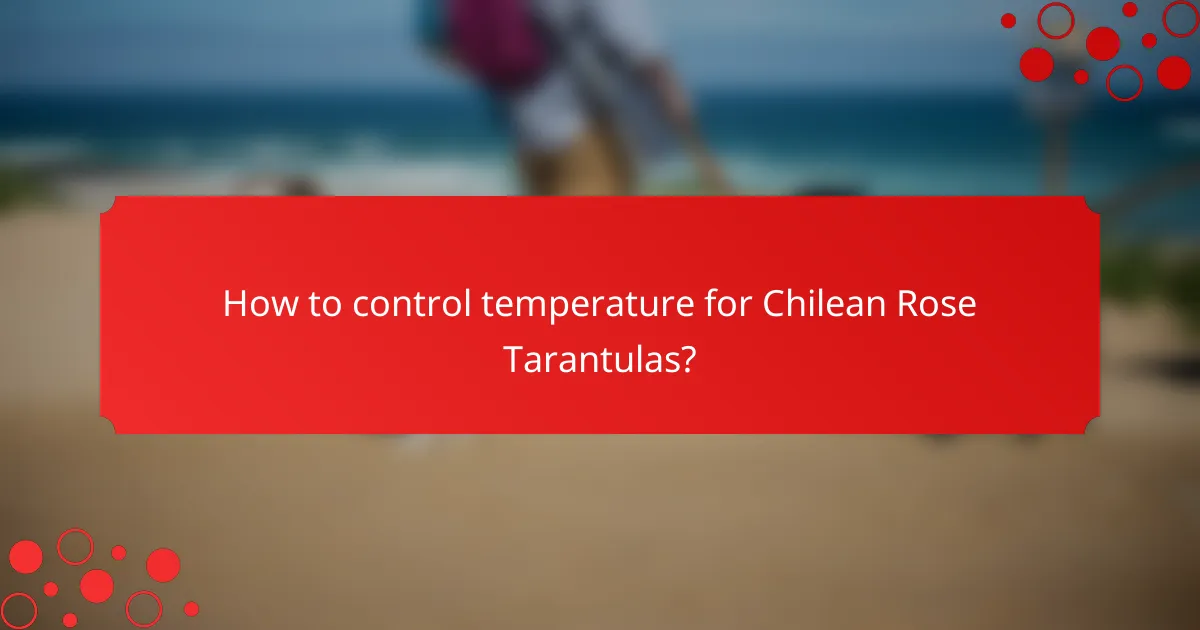 How to control temperature for Chilean Rose Tarantulas?