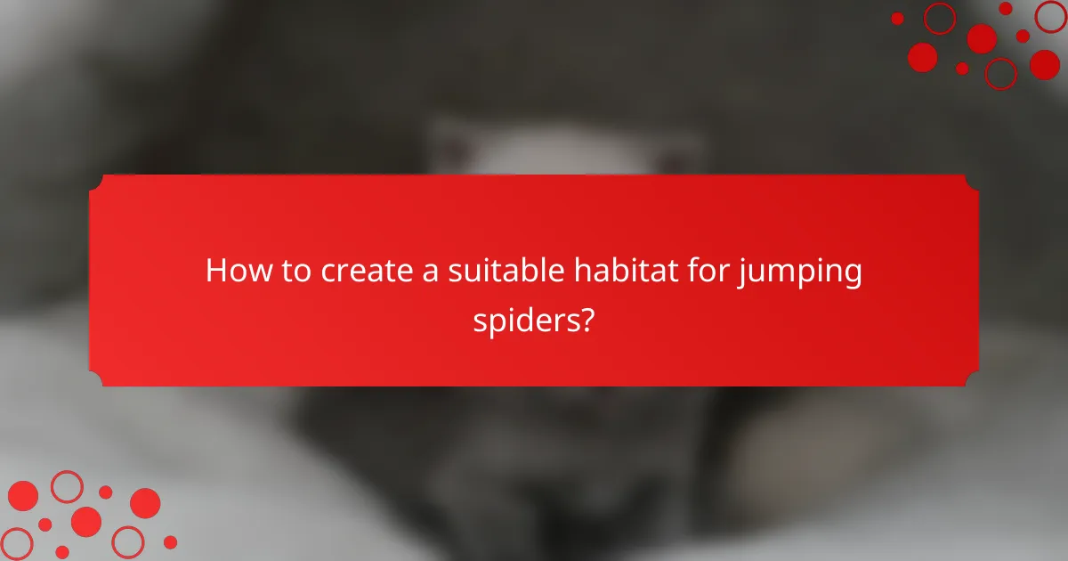 How to create a suitable habitat for jumping spiders?