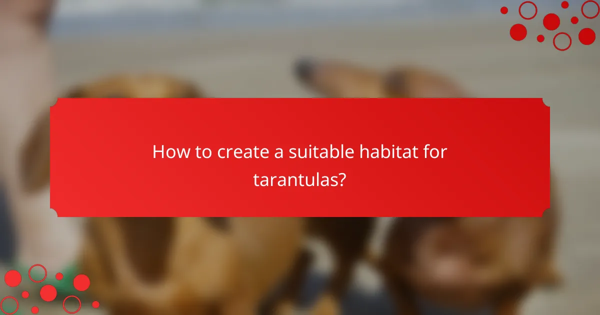 How to create a suitable habitat for tarantulas?