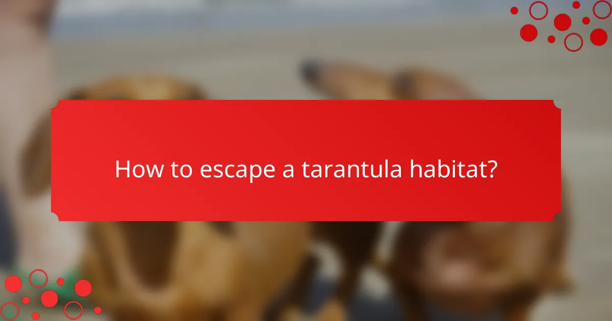 How to escape a tarantula habitat?