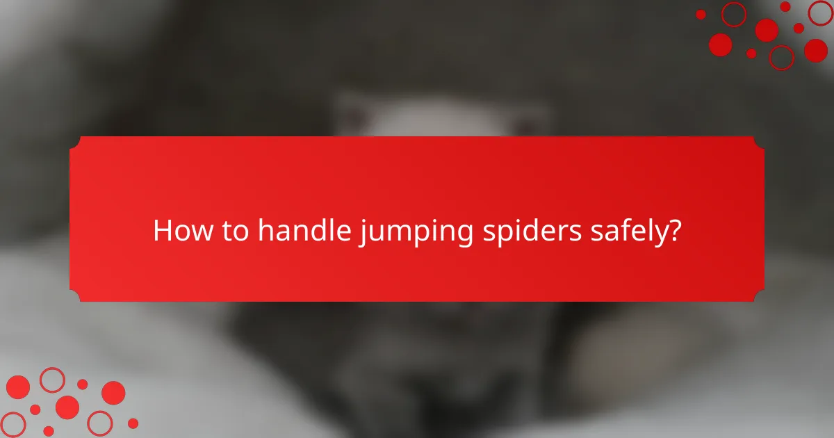 How to handle jumping spiders safely?