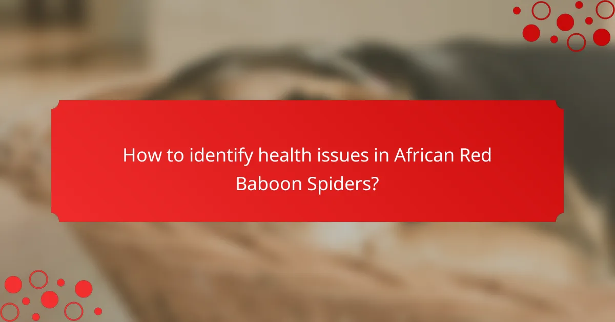 How to identify health issues in African Red Baboon Spiders?