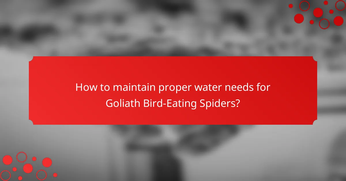 How to maintain proper water needs for Goliath Bird-Eating Spiders?