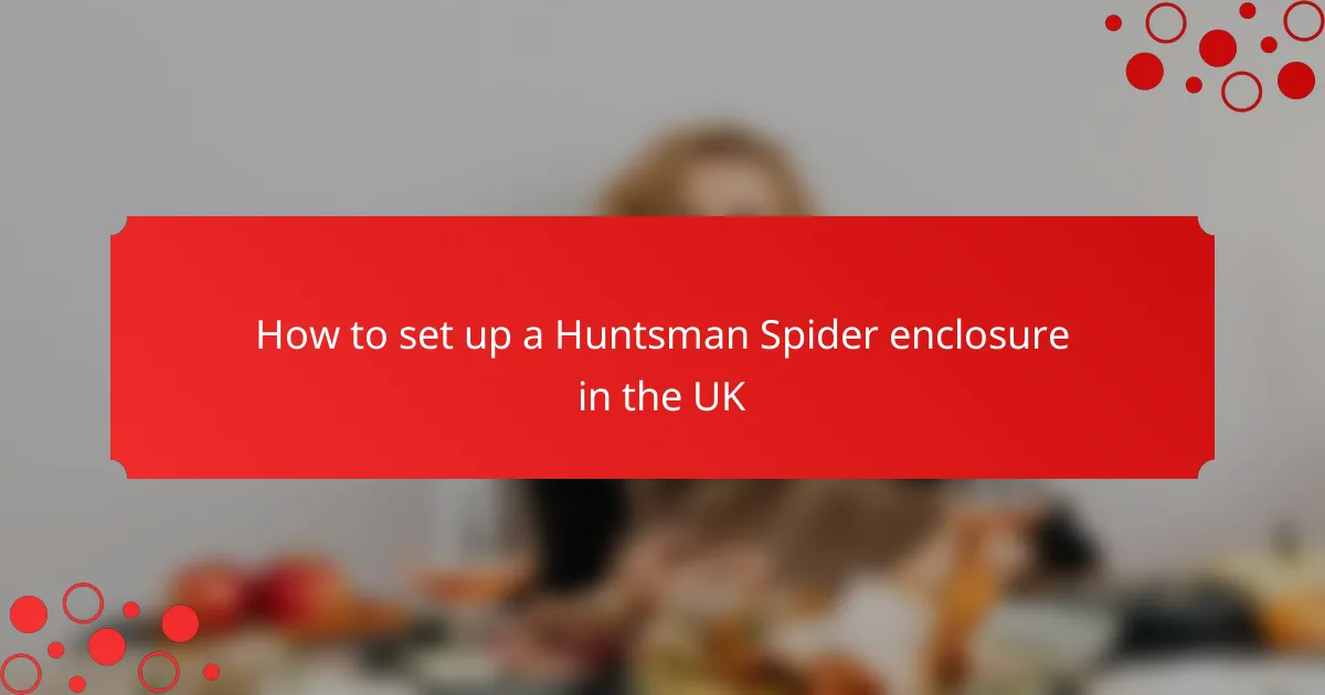 How to set up a Huntsman Spider enclosure in the UK
