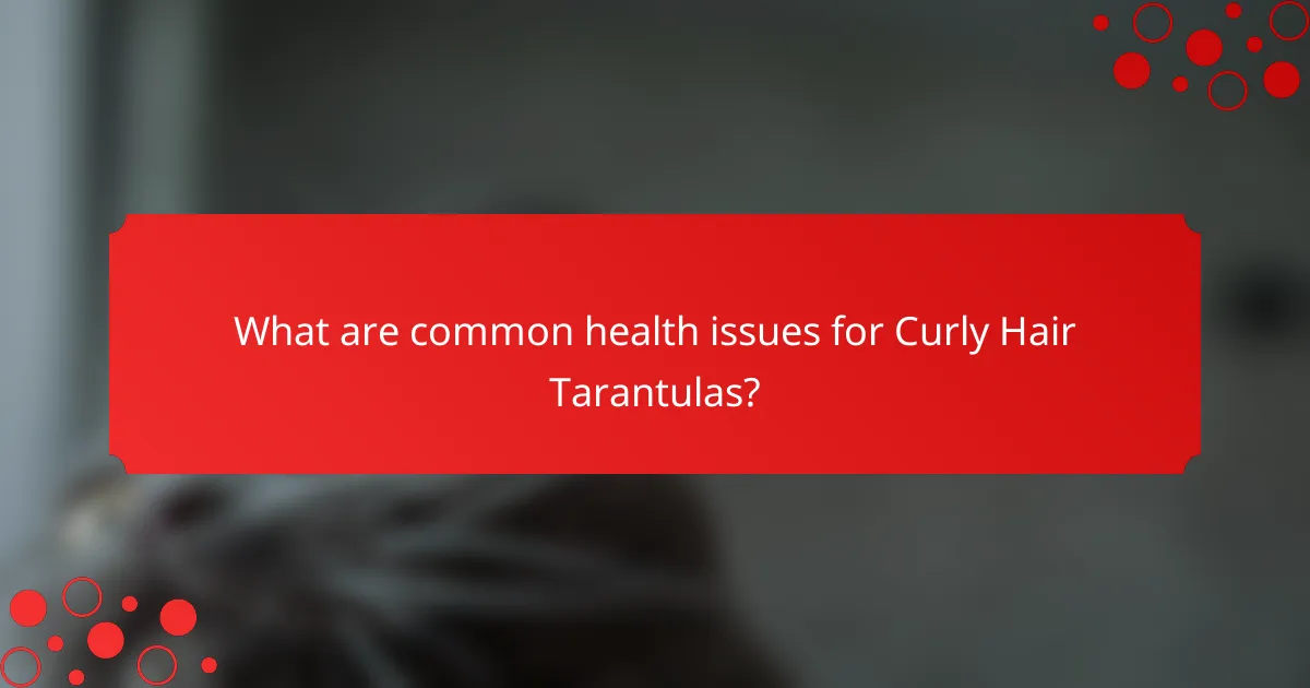 What are common health issues for Curly Hair Tarantulas?
