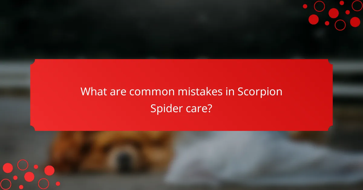 What are common mistakes in Scorpion Spider care?