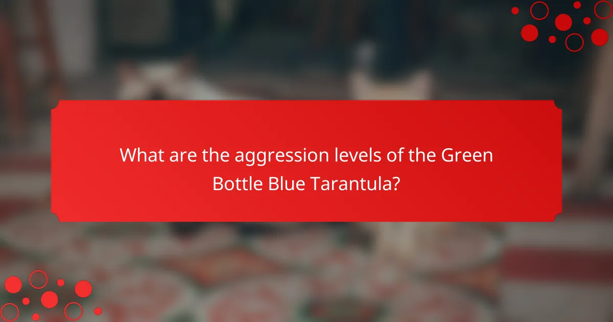 What are the aggression levels of the Green Bottle Blue Tarantula?