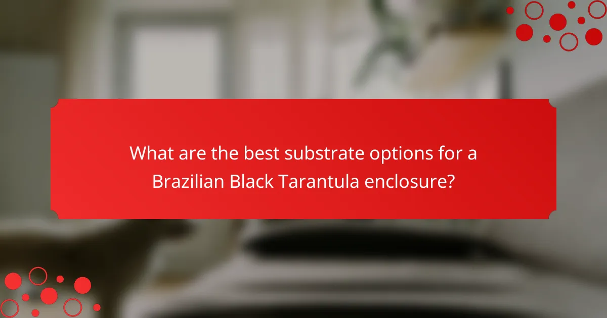 What are the best substrate options for a Brazilian Black Tarantula enclosure?