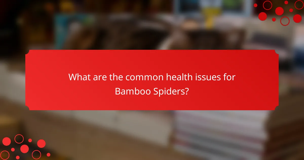 What are the common health issues for Bamboo Spiders?