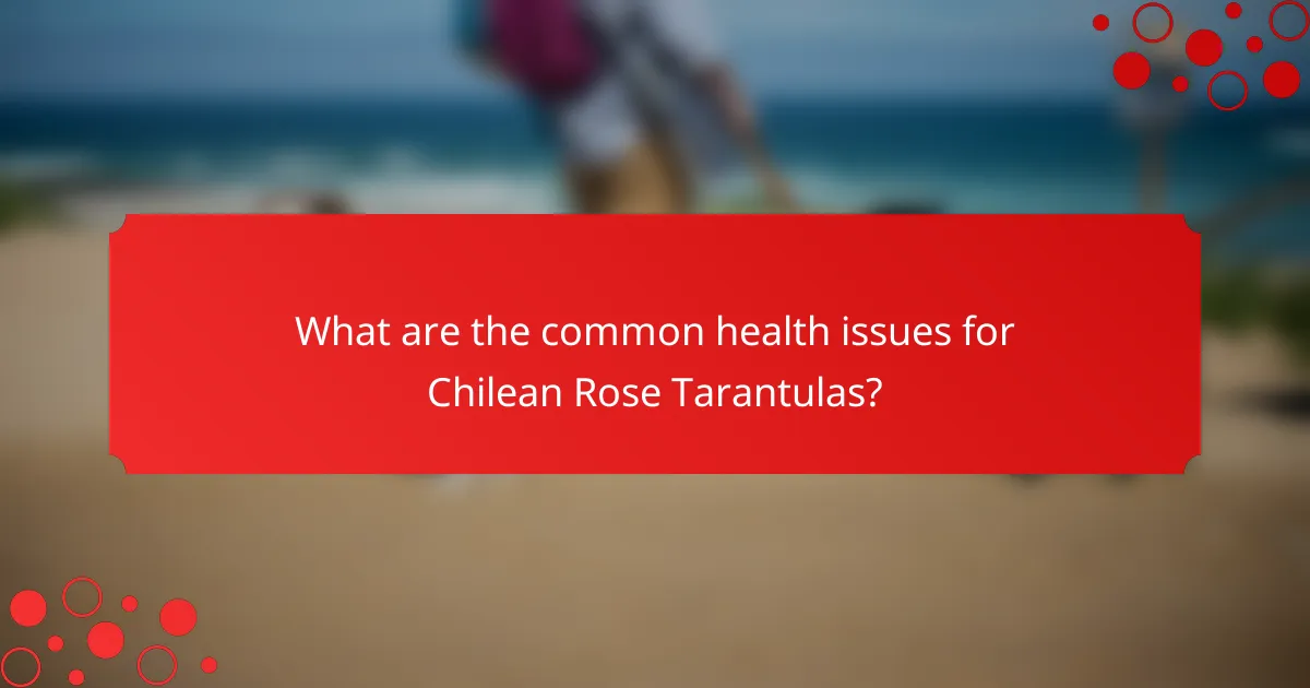What are the common health issues for Chilean Rose Tarantulas?