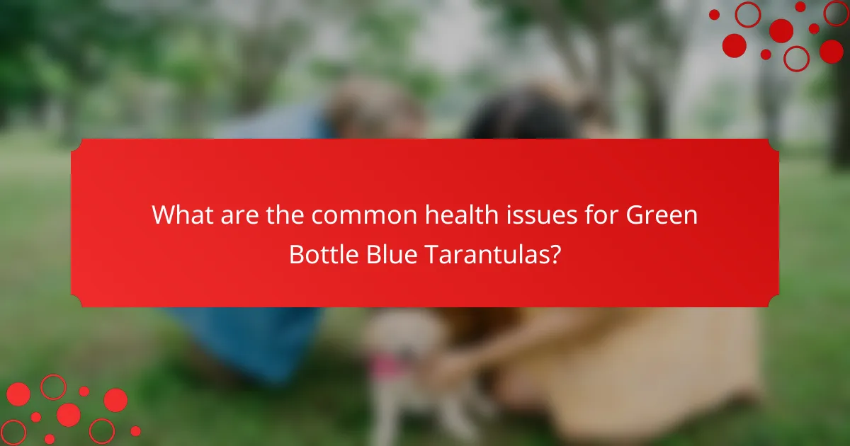 What are the common health issues for Green Bottle Blue Tarantulas?