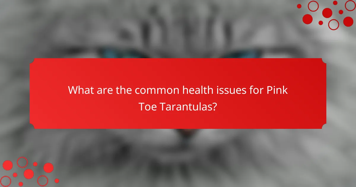 What are the common health issues for Pink Toe Tarantulas?