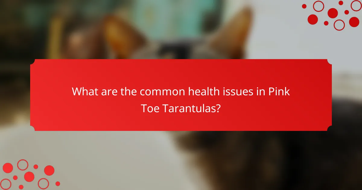 What are the common health issues in Pink Toe Tarantulas?