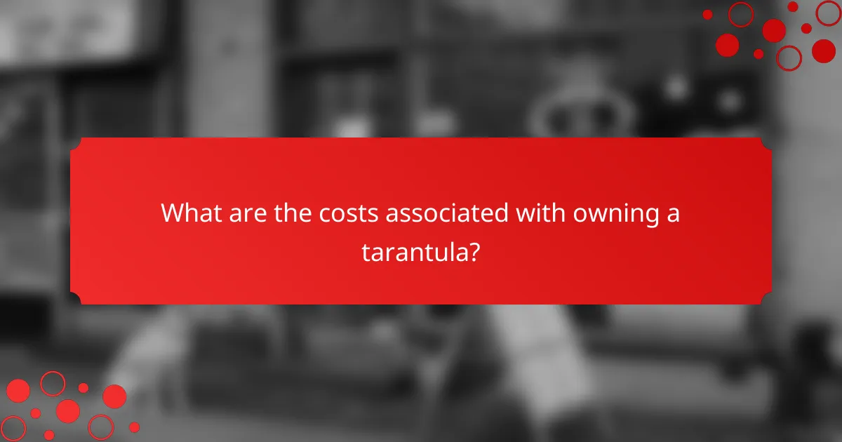 What are the costs associated with owning a tarantula?