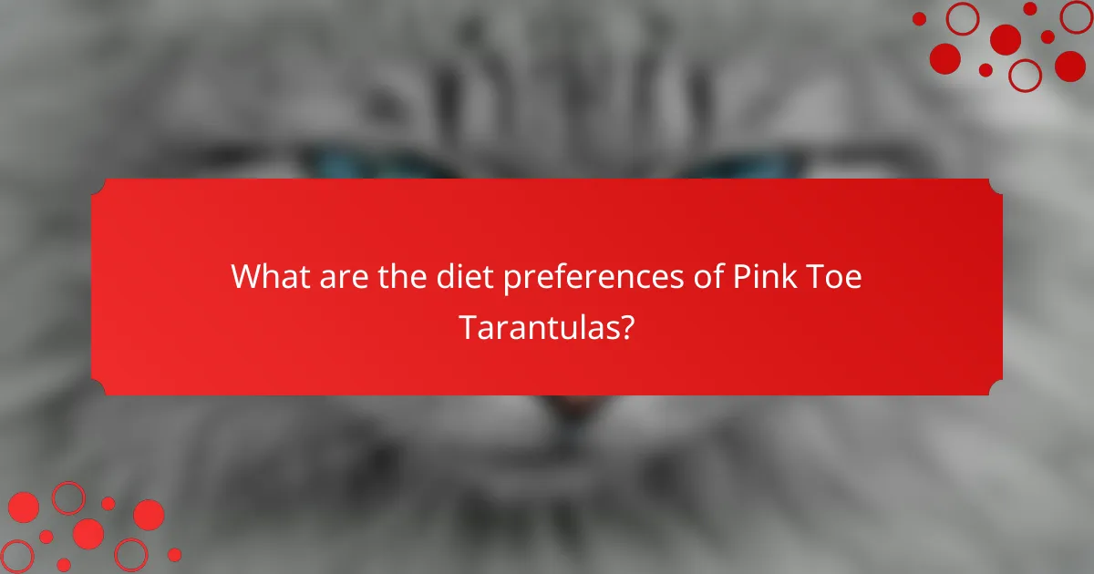 What are the diet preferences of Pink Toe Tarantulas?