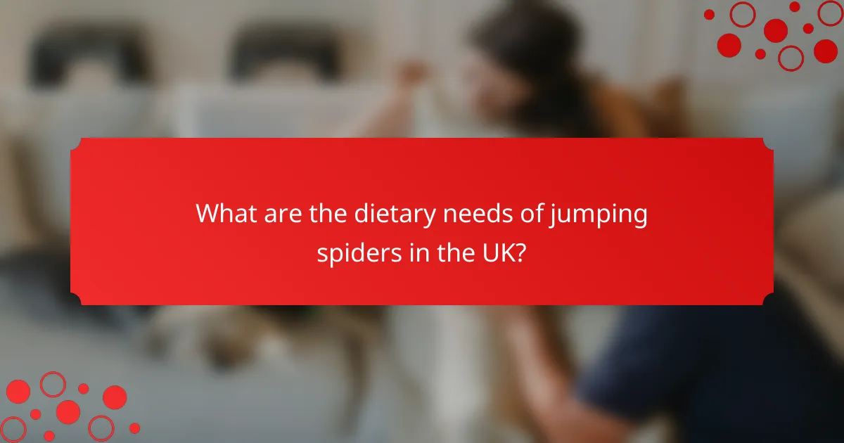 What are the dietary needs of jumping spiders in the UK?