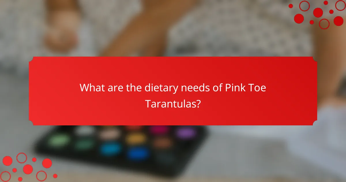What are the dietary needs of Pink Toe Tarantulas?