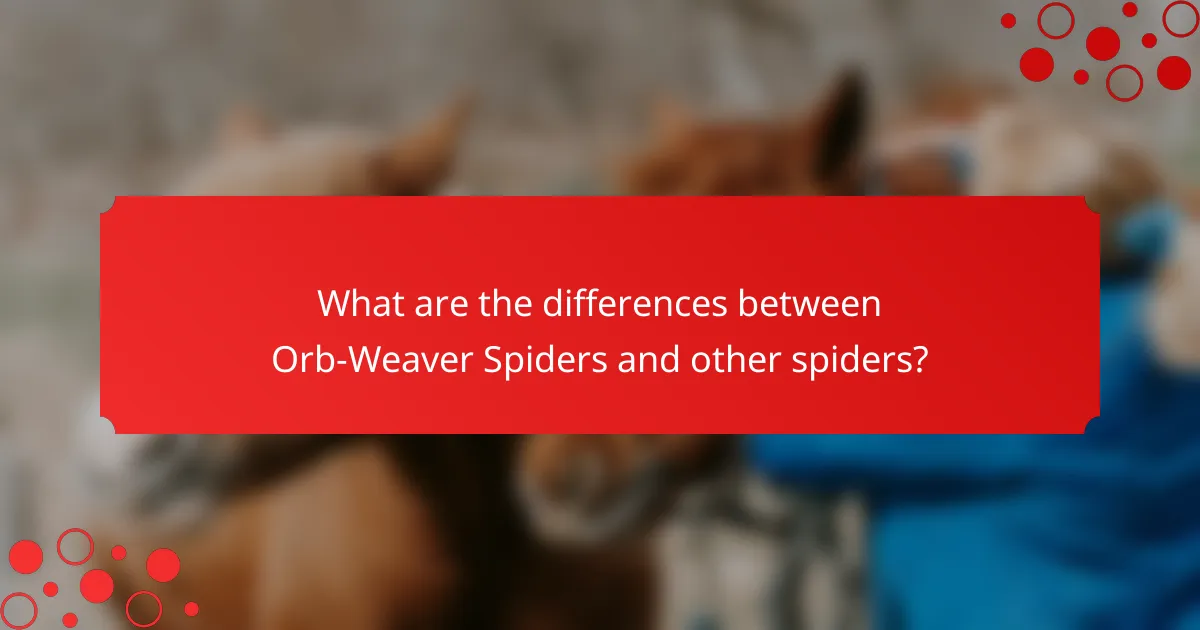 What are the differences between Orb-Weaver Spiders and other spiders?