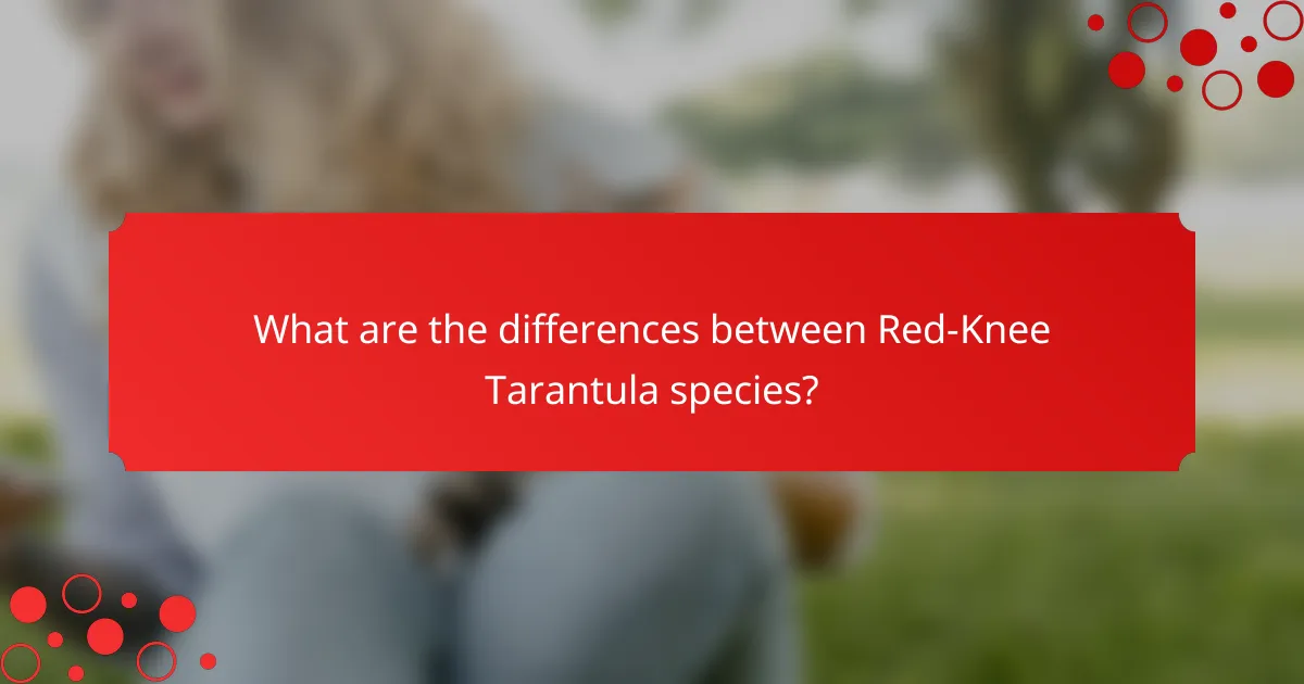 What are the differences between Red-Knee Tarantula species?