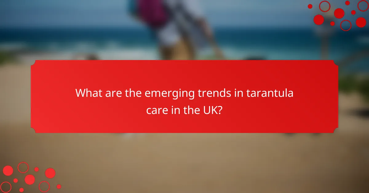 What are the emerging trends in tarantula care in the UK?