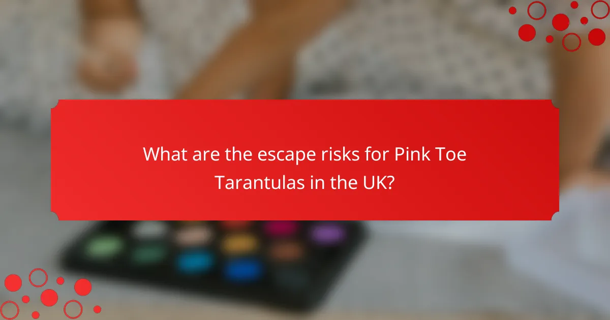 What are the escape risks for Pink Toe Tarantulas in the UK?
