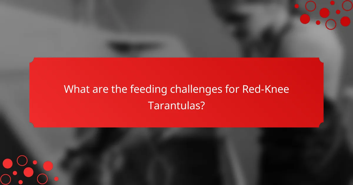 What are the feeding challenges for Red-Knee Tarantulas?