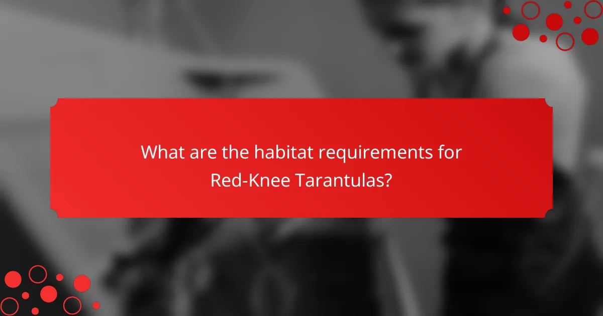 What are the habitat requirements for Red-Knee Tarantulas?