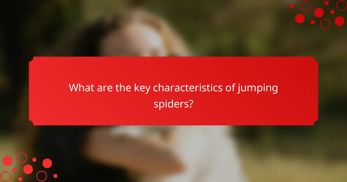 What are the key characteristics of jumping spiders?