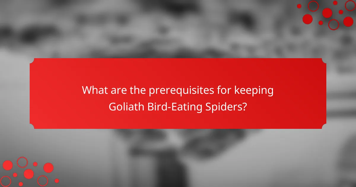 What are the prerequisites for keeping Goliath Bird-Eating Spiders?