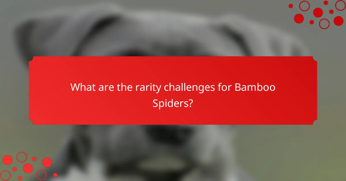 What are the rarity challenges for Bamboo Spiders?