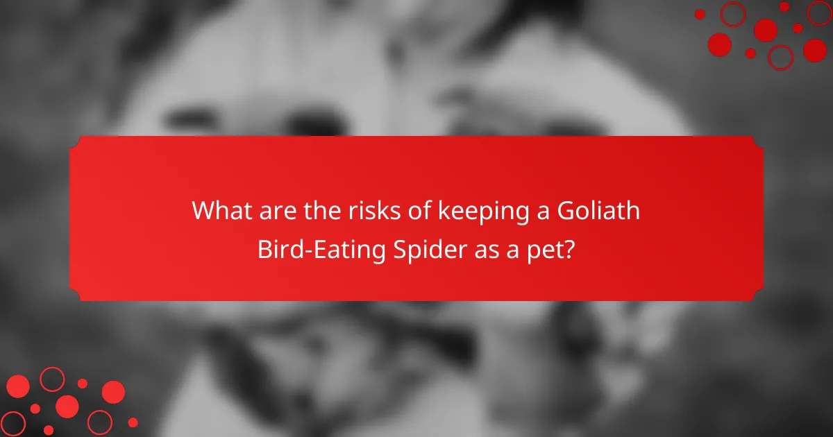 What are the risks of keeping a Goliath Bird-Eating Spider as a pet?