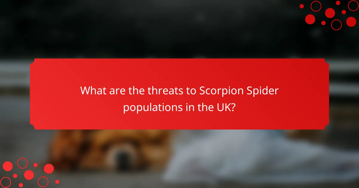 What are the threats to Scorpion Spider populations in the UK?