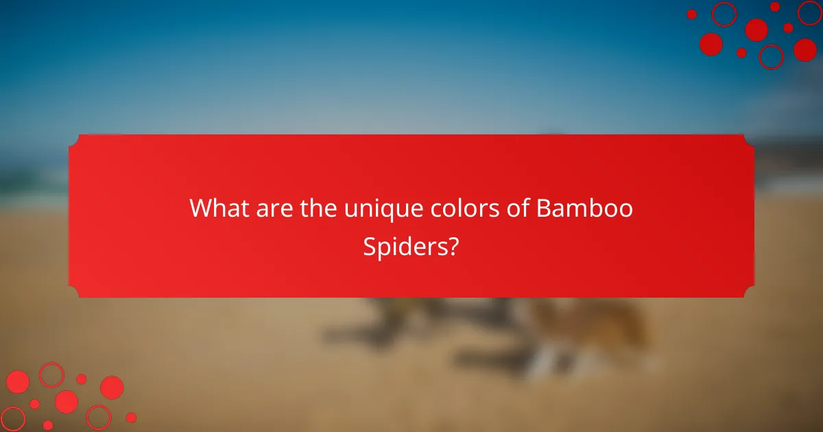 What are the unique colors of Bamboo Spiders?
