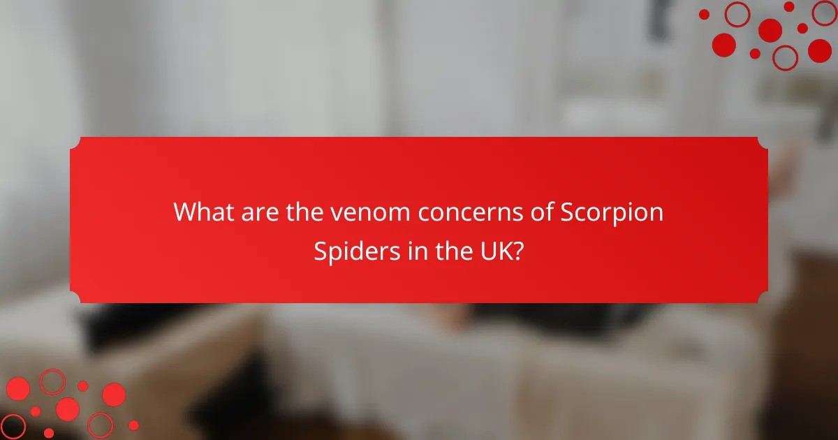 What are the venom concerns of Scorpion Spiders in the UK?