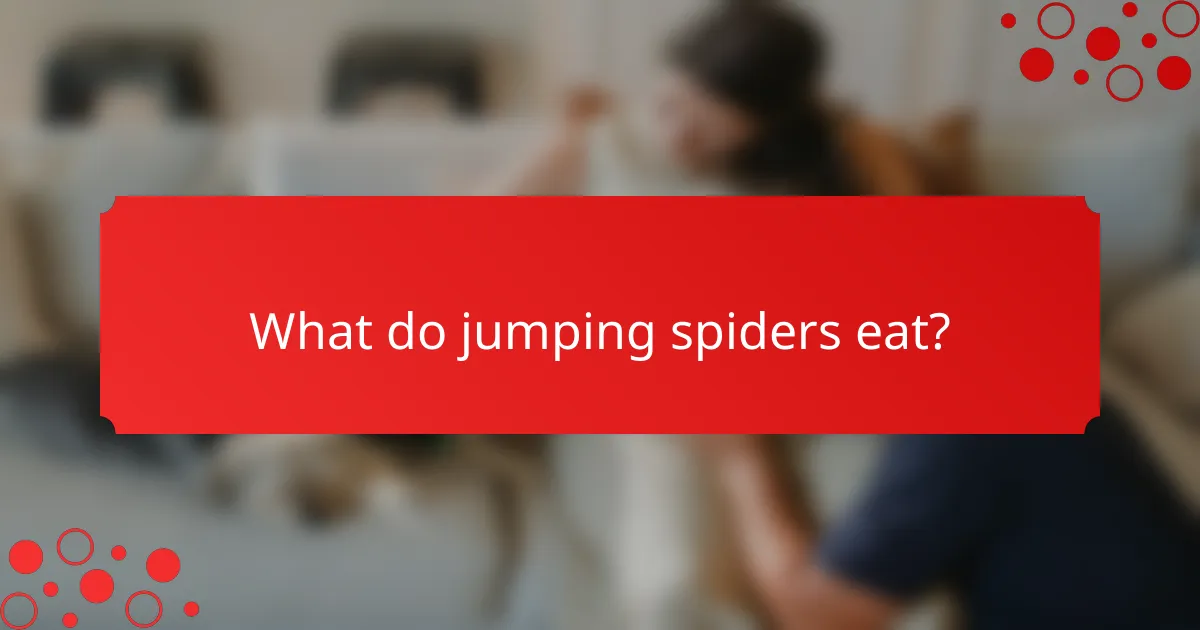 What do jumping spiders eat?